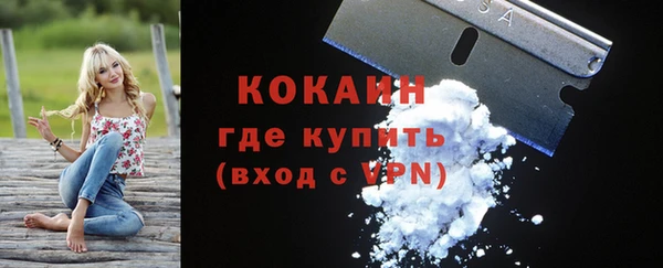 ГАЛЛЮЦИНОГЕННЫЕ ГРИБЫ Абаза