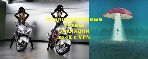 ГАЛЛЮЦИНОГЕННЫЕ ГРИБЫ Абаза