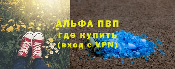 ГАЛЛЮЦИНОГЕННЫЕ ГРИБЫ Абаза