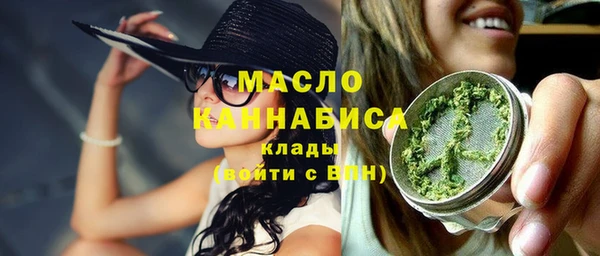 твердый Горняк