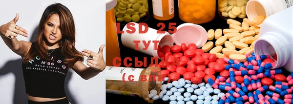 ГАЛЛЮЦИНОГЕННЫЕ ГРИБЫ Абаза