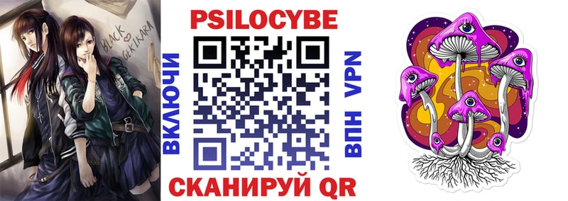 Псилоцибиновые грибы мухоморы  купить наркоту  Черногорск 